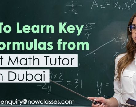 Math tutor in Dubai